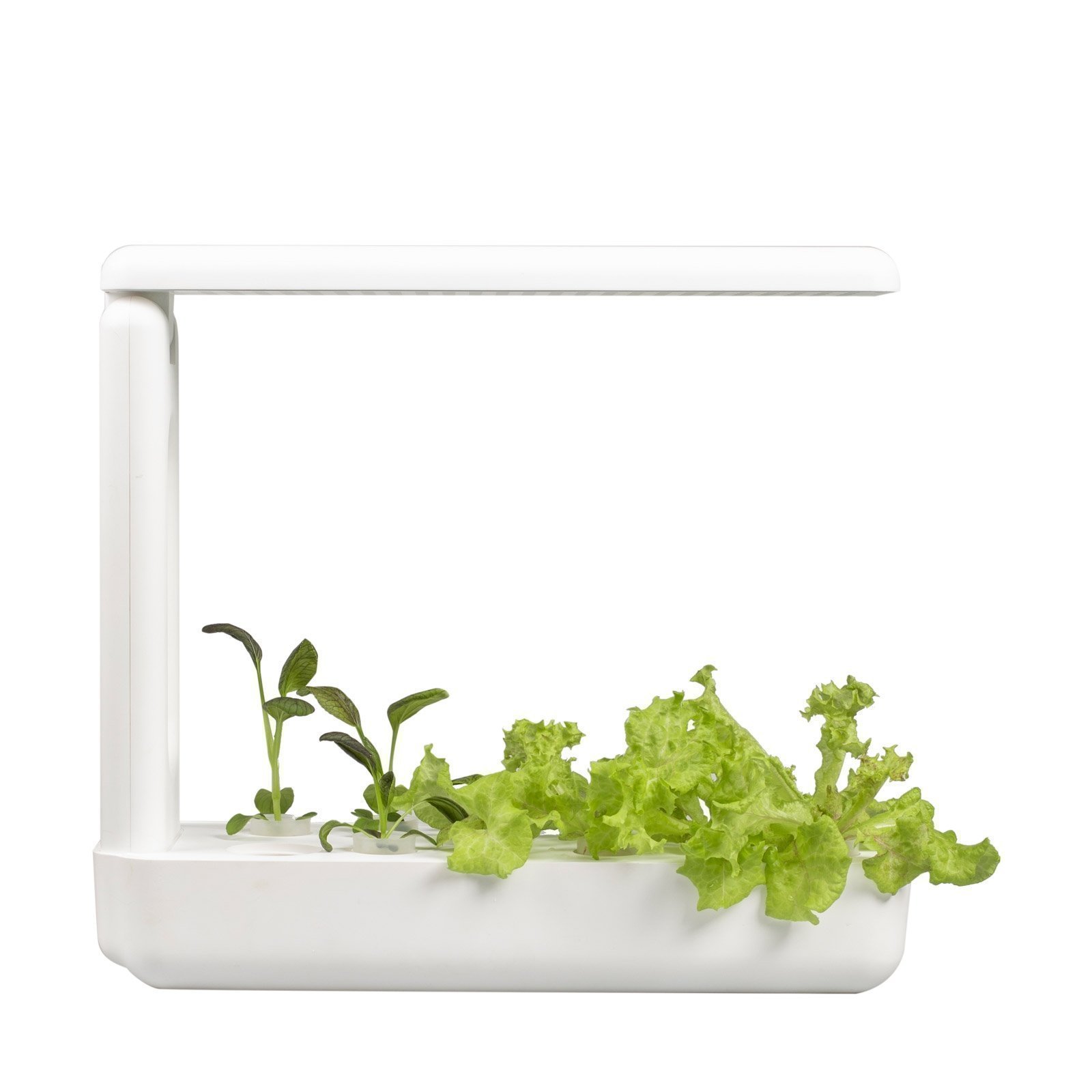 Image of Kuchnia Vegebox™ — hydroponiczny kryty ogród ziołowy