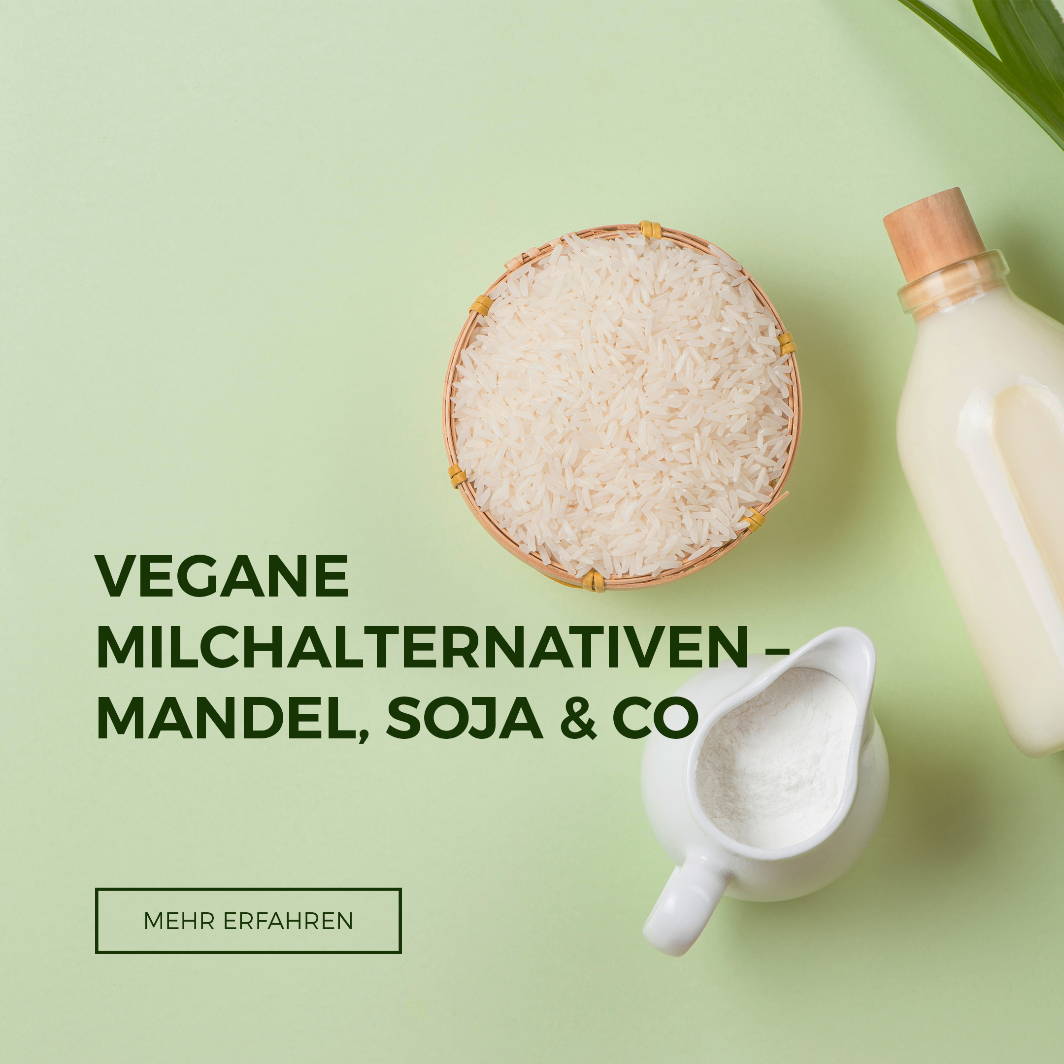 Vegane Milchalternativen - Mandel,  Soja & Co