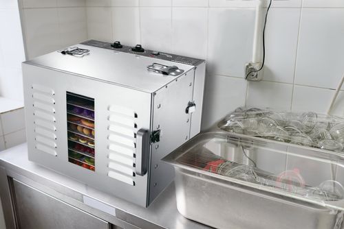 BioChef Premium 10 Einschüben Edelstahl Dörrautomat Küche